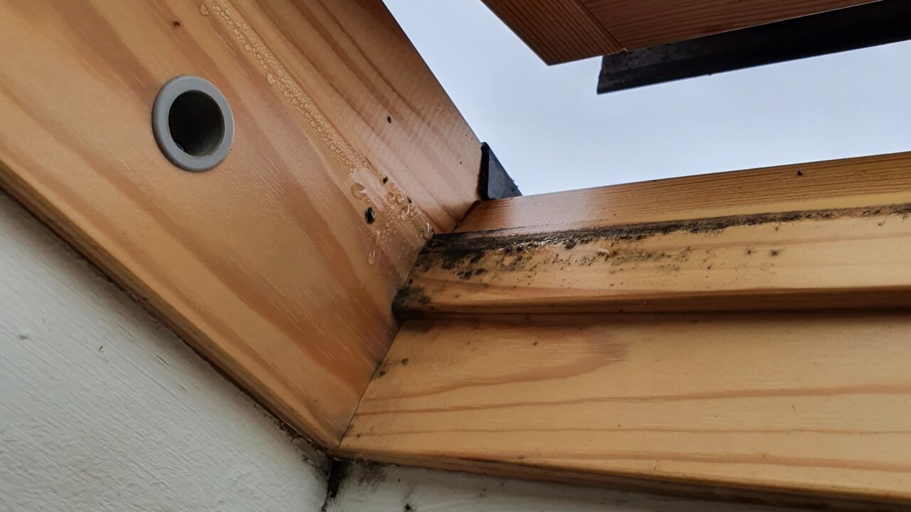 Dachfenster kondenswasser schimmel