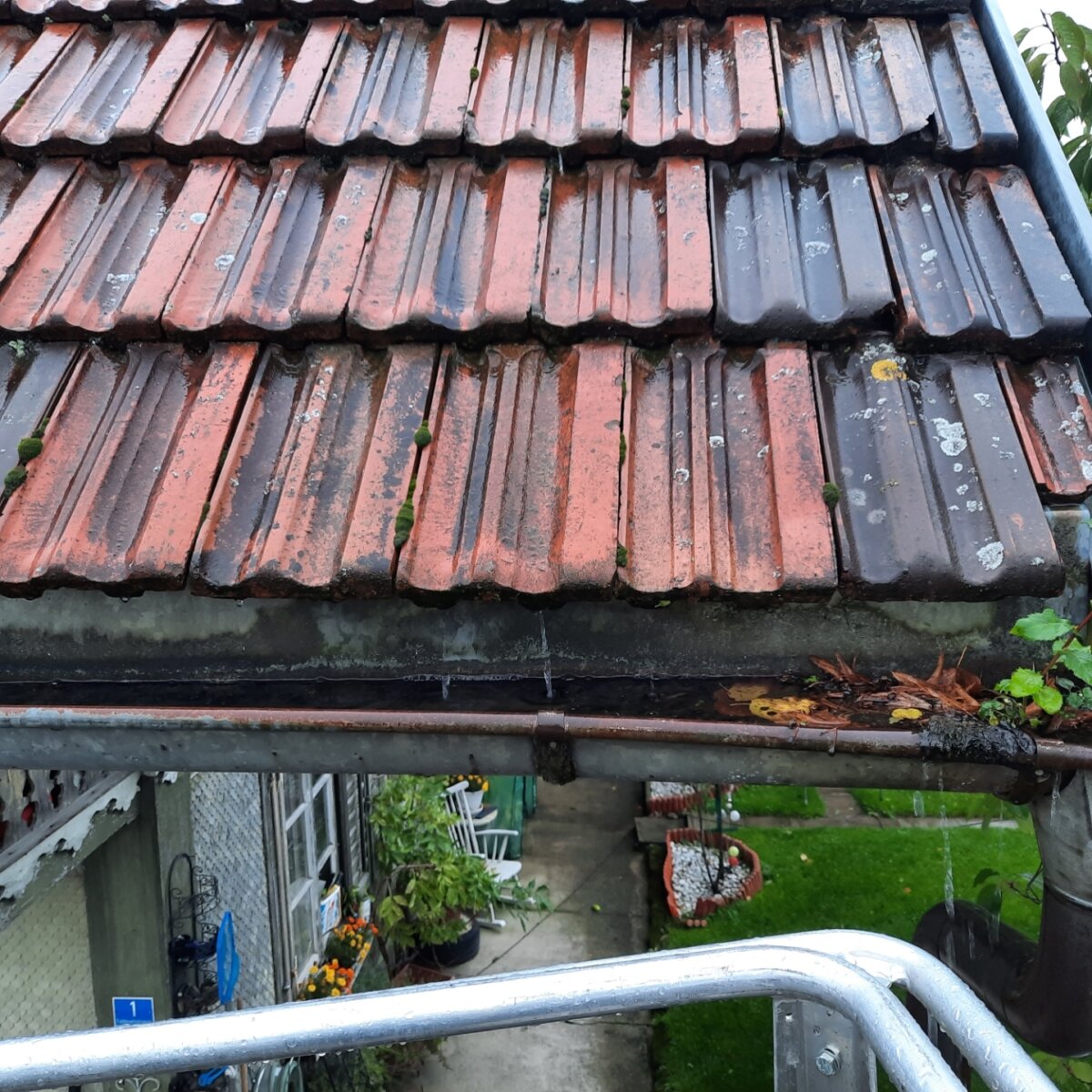 Dachentwaesserung dachrinne verstopft